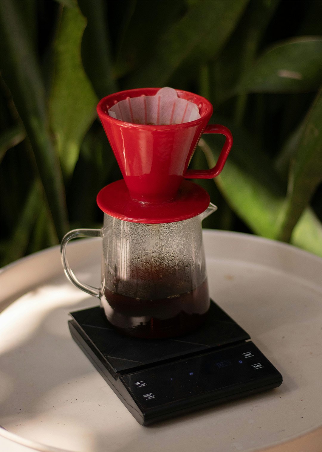 pexels-rodrigo-ortega-2044210904-31939309